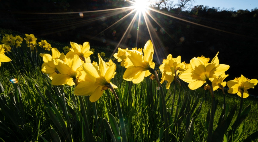 How To Practice For Camp By Getting Outdoors